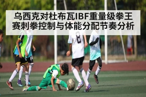 乌西克对杜布瓦IBF重量级拳王赛刺拳控制与体能分配节奏分析