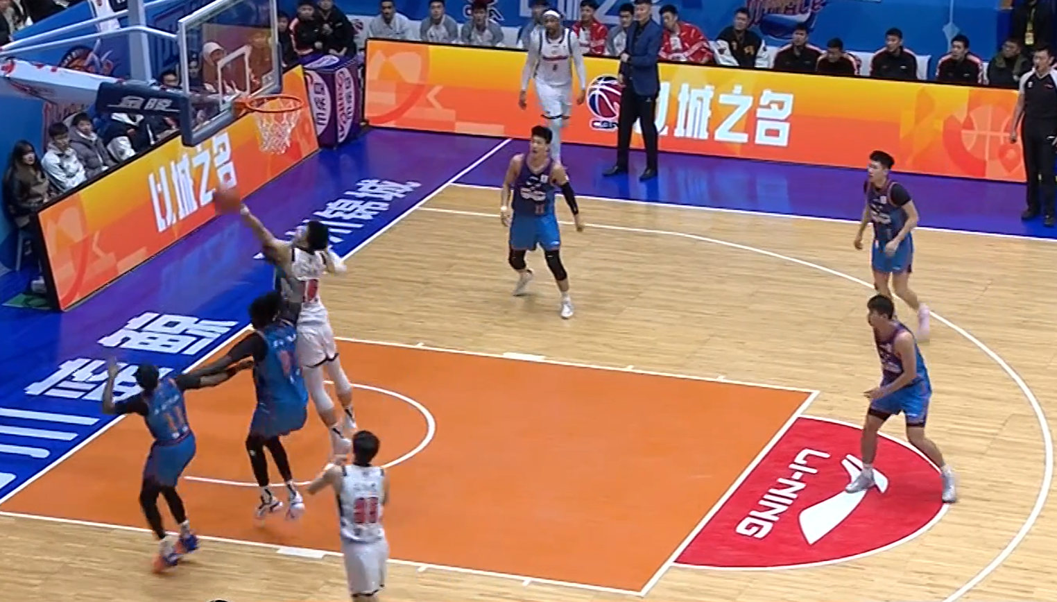 有趣！CBA赛场来了一个不速之客 球迷：头一回见